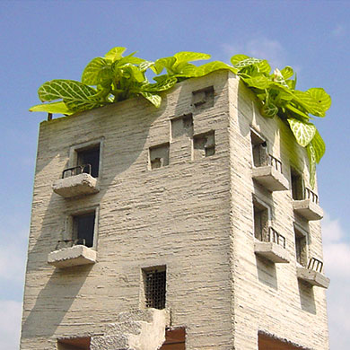 Planter-mansion